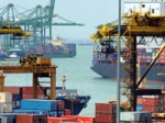 Container shipping volume to grow 6-8% by year end 