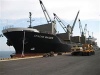 TBS International's Brazilian joint venture establishes Brazil flag service